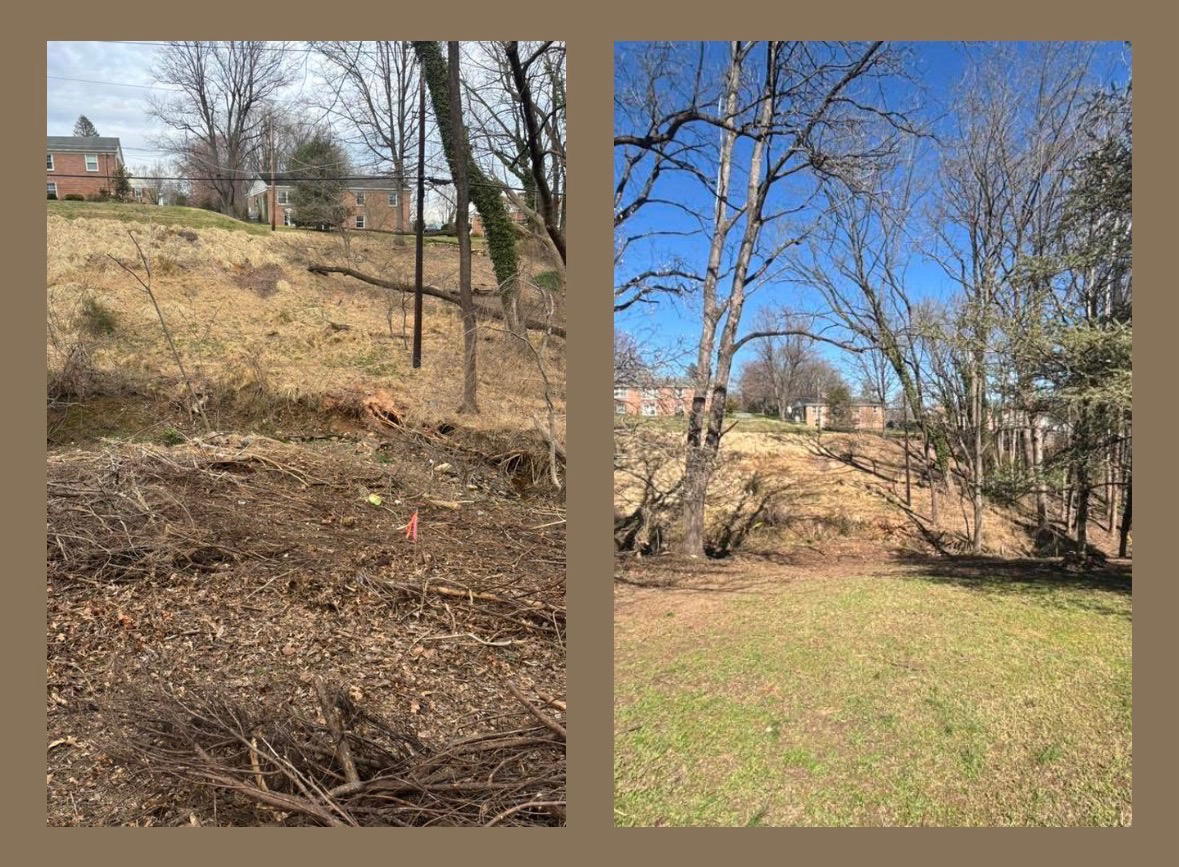 Brush & Lot Cleanup