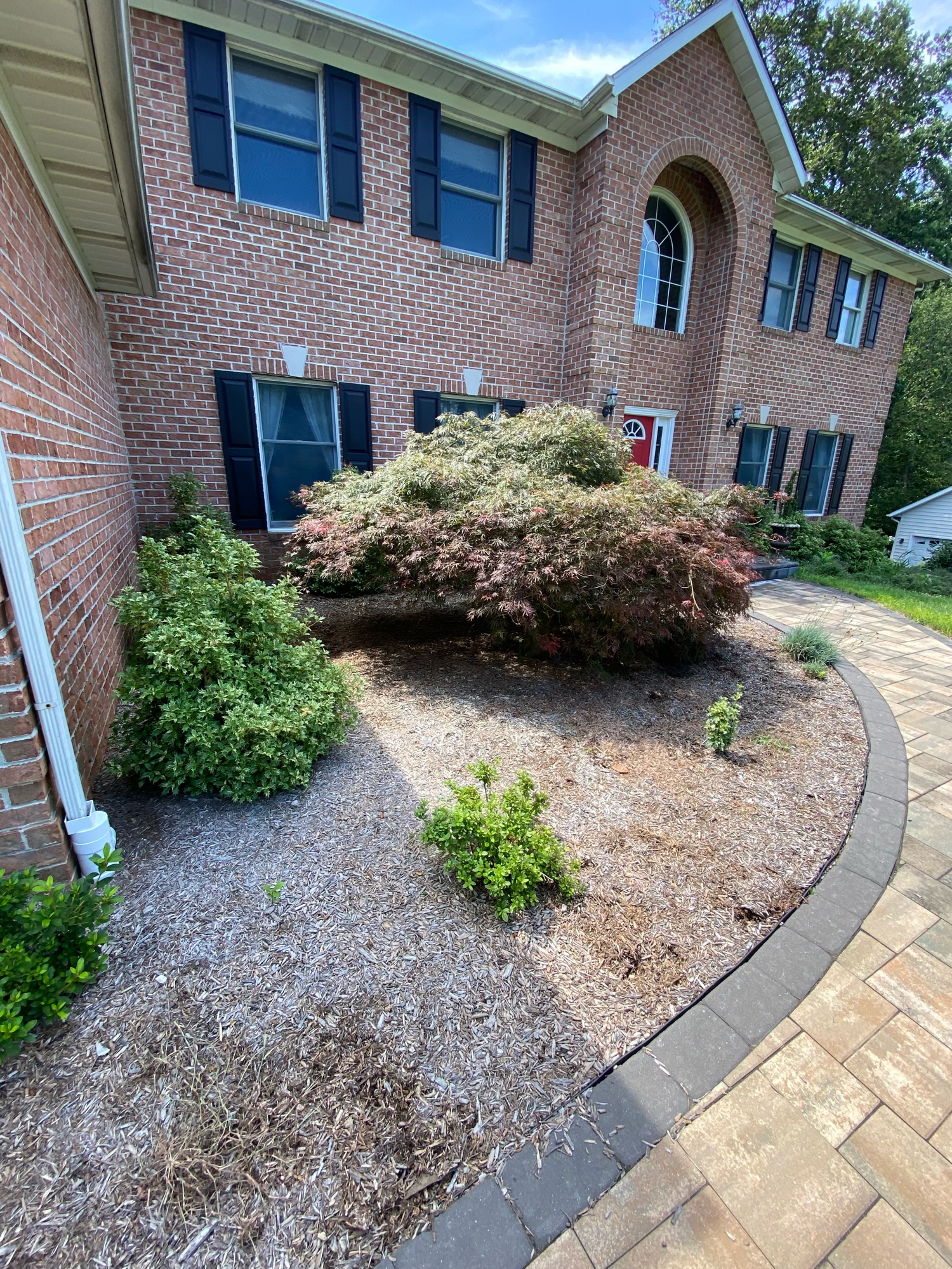 Before: beds overgrown, wall dirty — we got it.