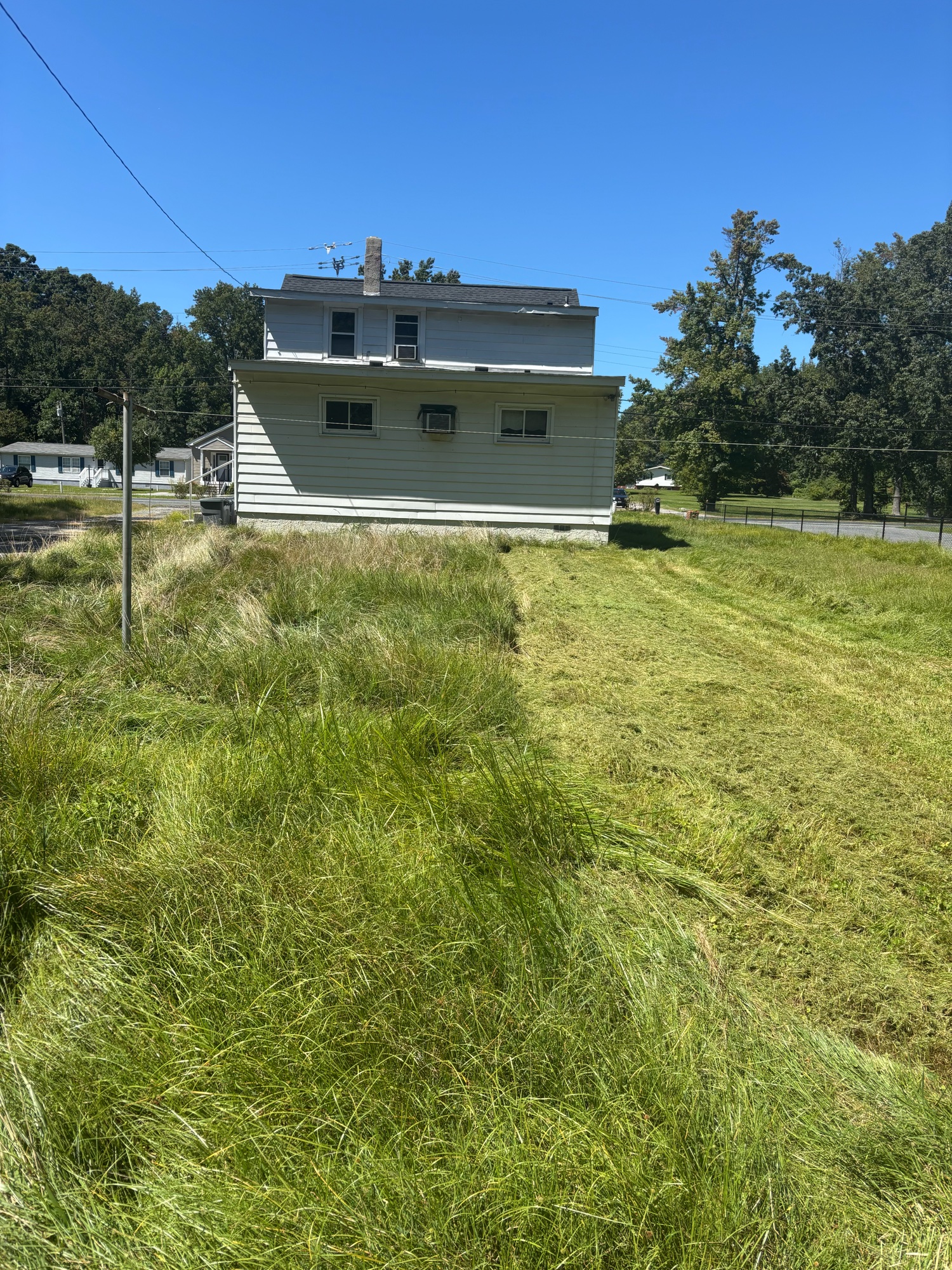 Large commercial lot — brush clearing + haul-away