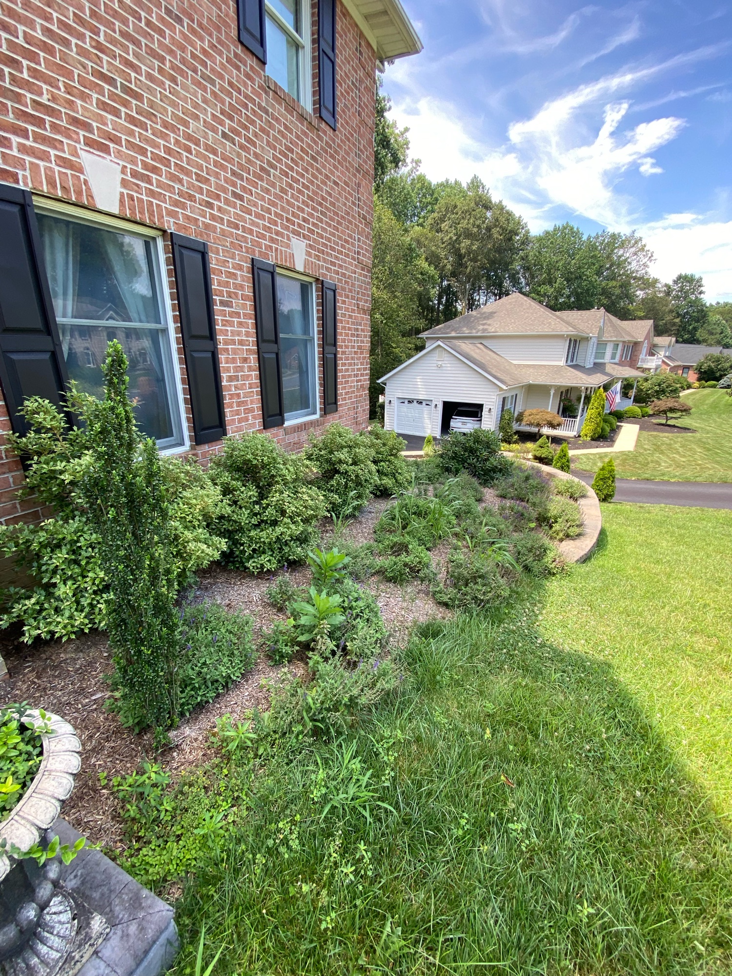 Before: large lot overgrown — after: clean all season